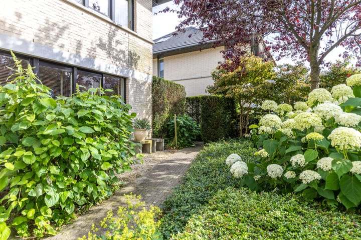 Foto 45 van Luitenantstraat 38