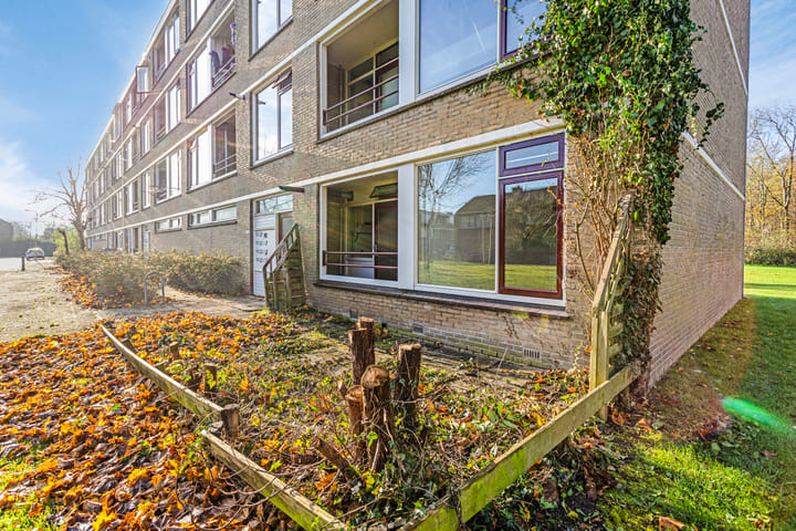 Foto 19 van Frans Halsstraat 14