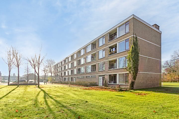 Foto 20 van Frans Halsstraat 14