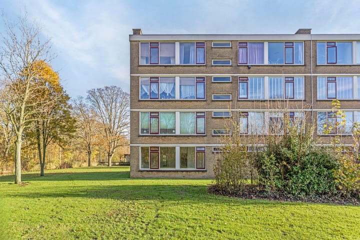 Foto 21 van Frans Halsstraat 14