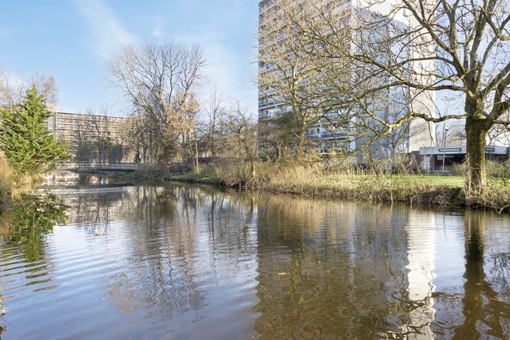 Bekijk foto 46 van Meeuwstraat 98