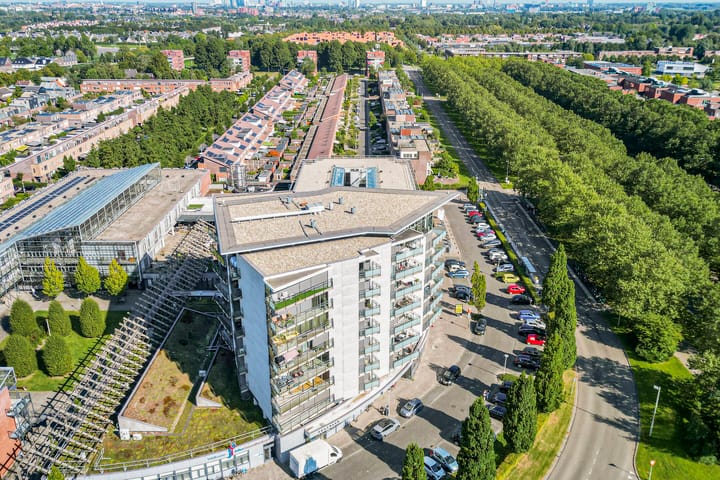 Photo 32 of Molenpolder 58