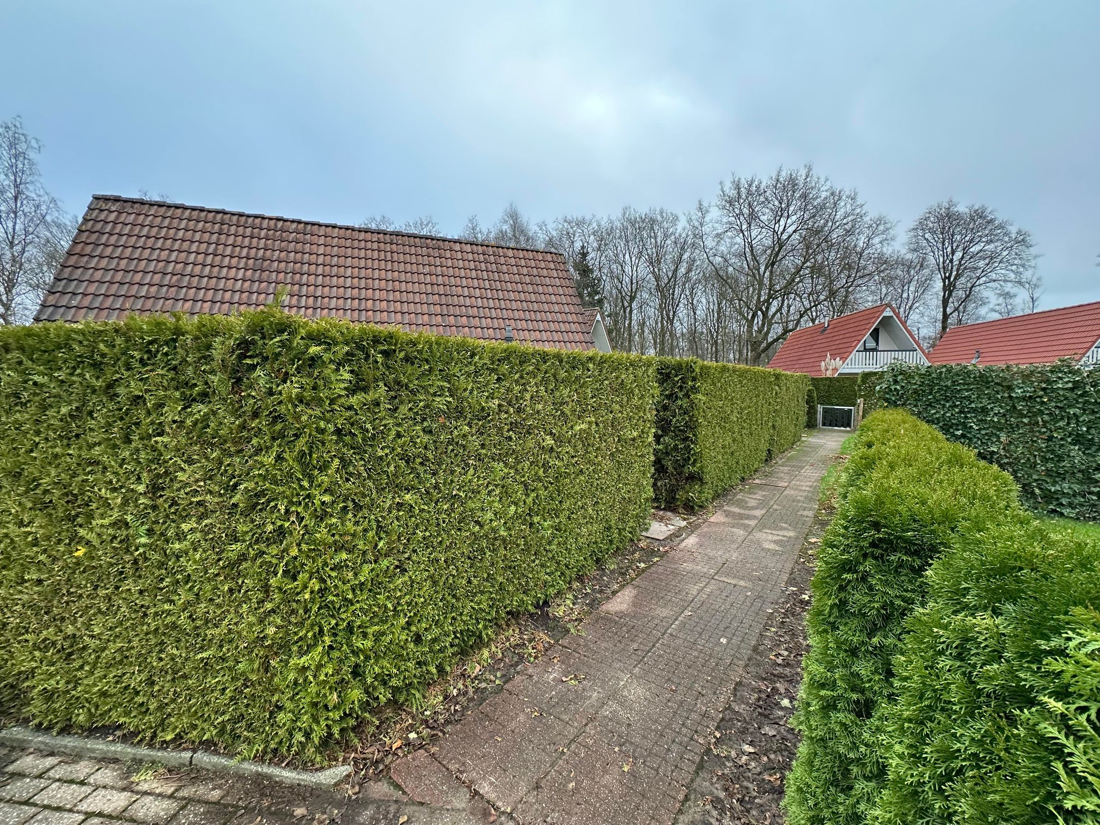 Foto 21 van Het Zwiggelterveld 81