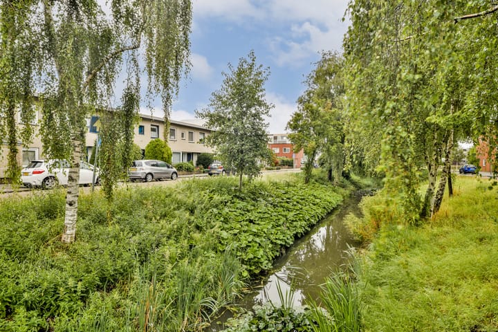 Foto 18 van Turbón 2