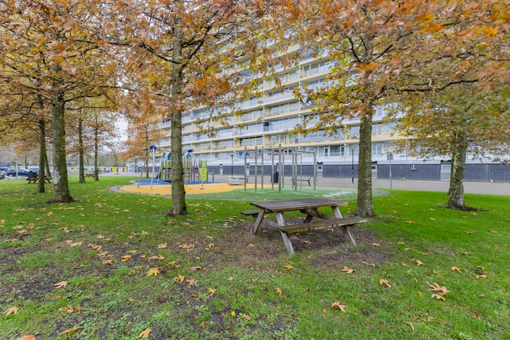 Foto 16 van Pharus 260-A