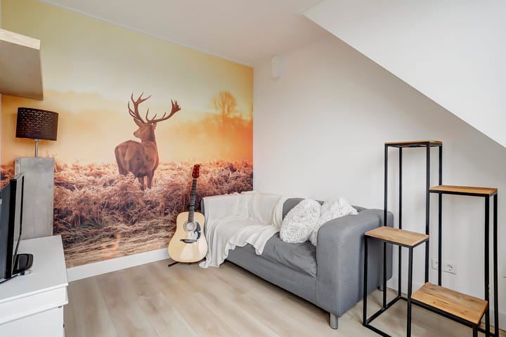 Foto 31 van Valse IJsboutpad 8