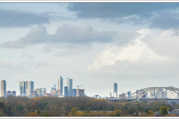 Bekijk foto 19 van de la Reijstraat 608