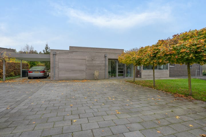 Foto 10 van Anholt 20