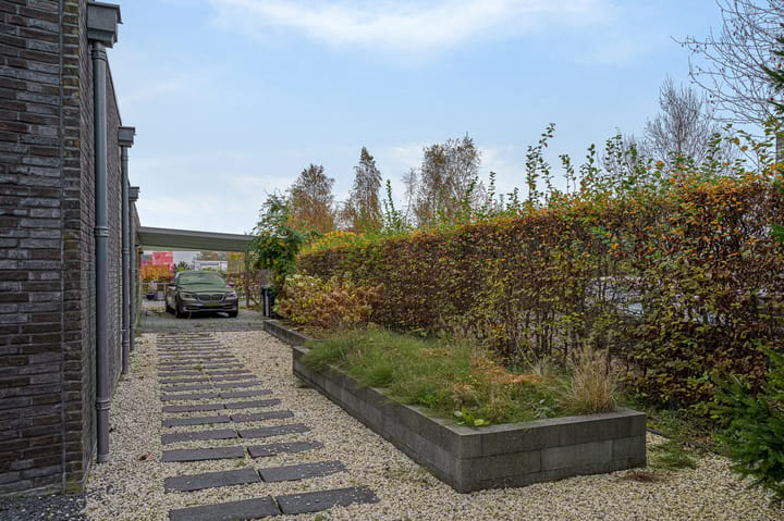 Foto 56 van Anholt 20