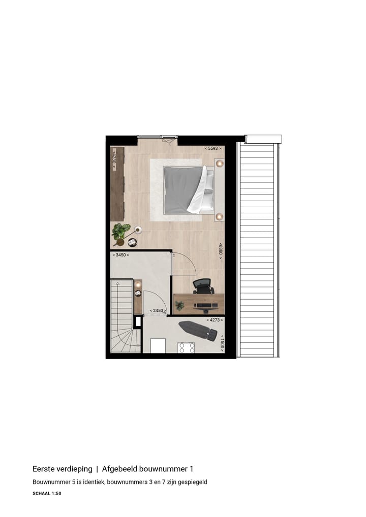 Foto 4 van Rietspinner