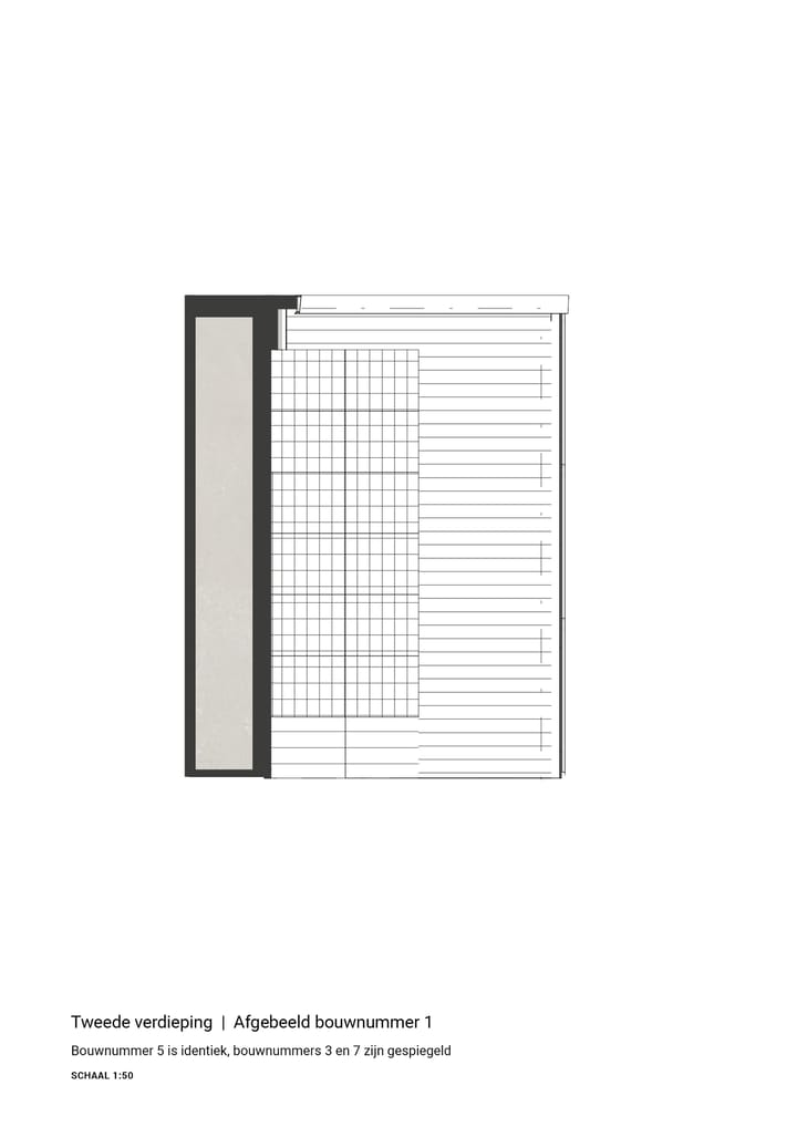 Foto 5 van Rietspinner