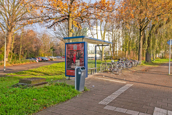 View photo 39 of Schiedamseweg 235