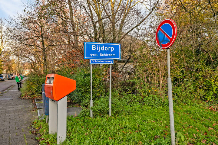 Bekijk foto 40 van Schiedamseweg 235