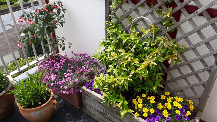 Foto 22 van Runmolen 20