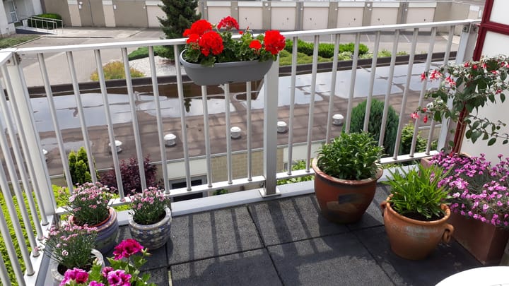 Foto 23 van Runmolen 20