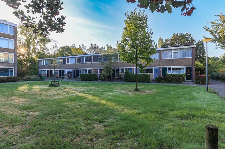 Foto 1 van Abeelstraat 41