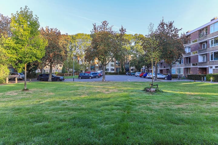 Foto 2 van Abeelstraat 41