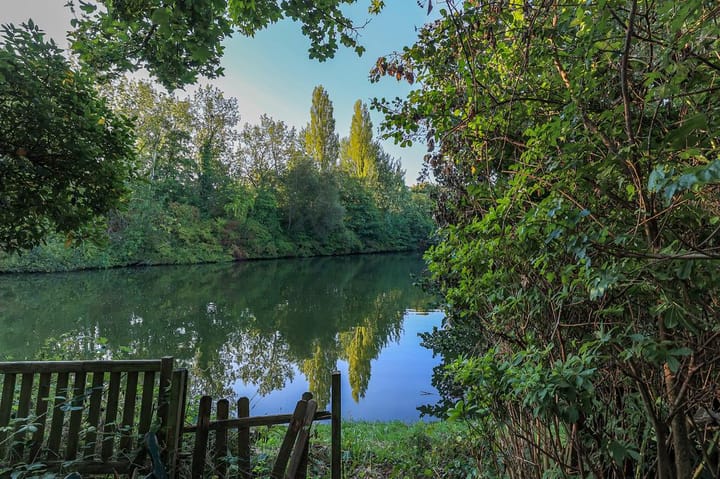 Foto 12 van Abeelstraat 41