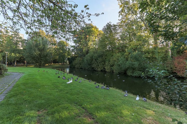 Foto 26 van Abeelstraat 41