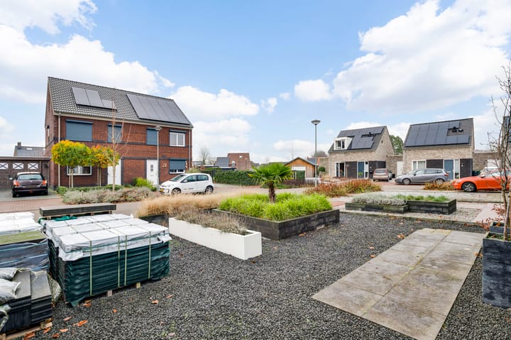 Photo 11 of Tarwe 17