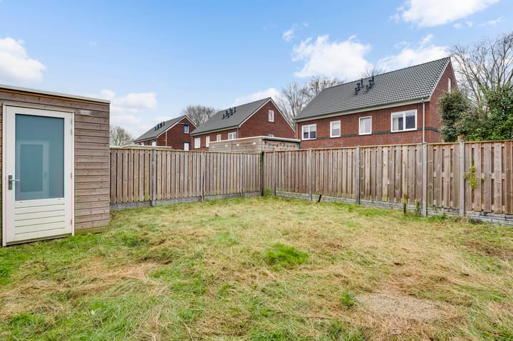 Photo 22 of Tarwe 17