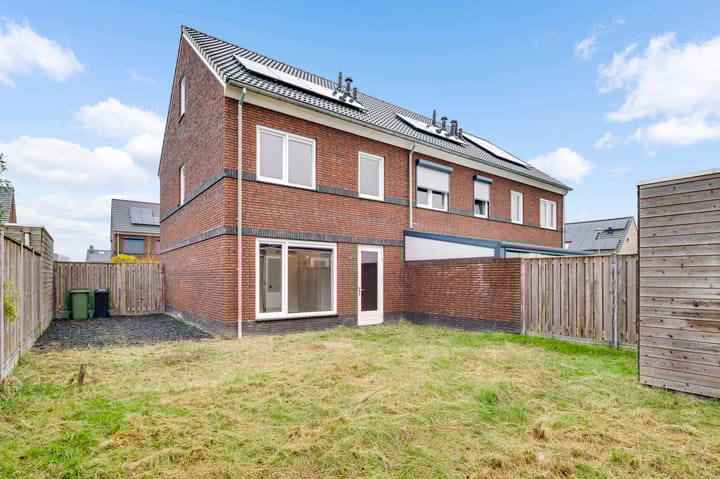 Photo 25 of Tarwe 17