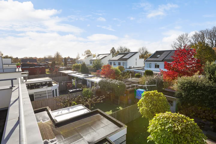 Foto 30 van Botterdam 3