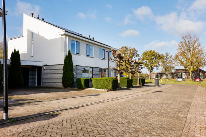 Foto 39 van Botterdam 3