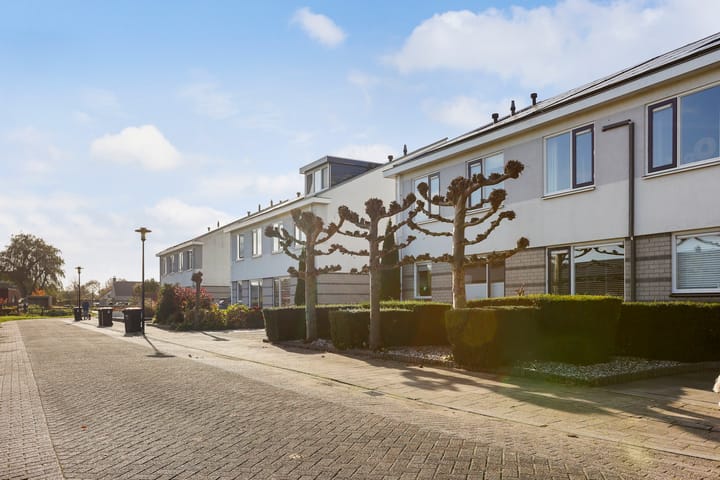 Foto 40 van Botterdam 3