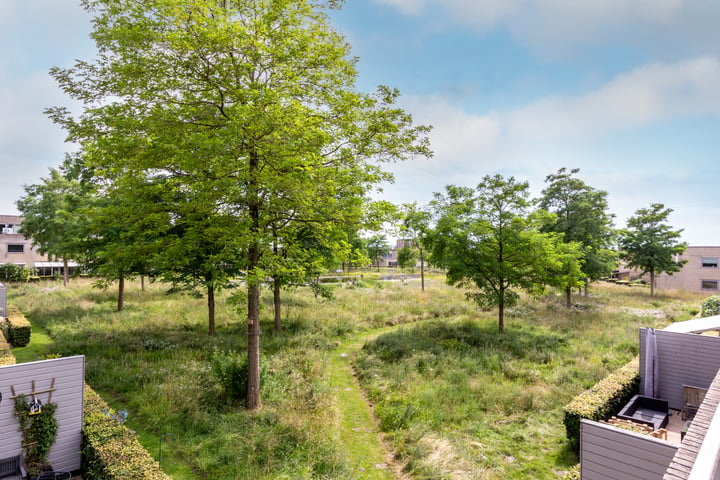 Bekijk foto 4 van Poseidonsingel 18