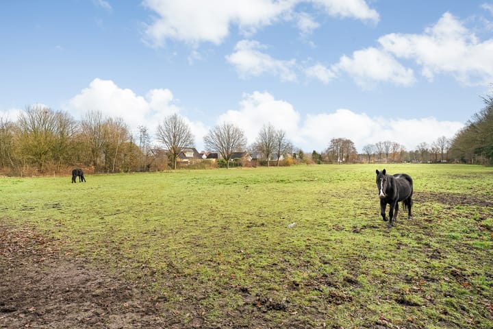 Foto 18 van Vledderweg 15