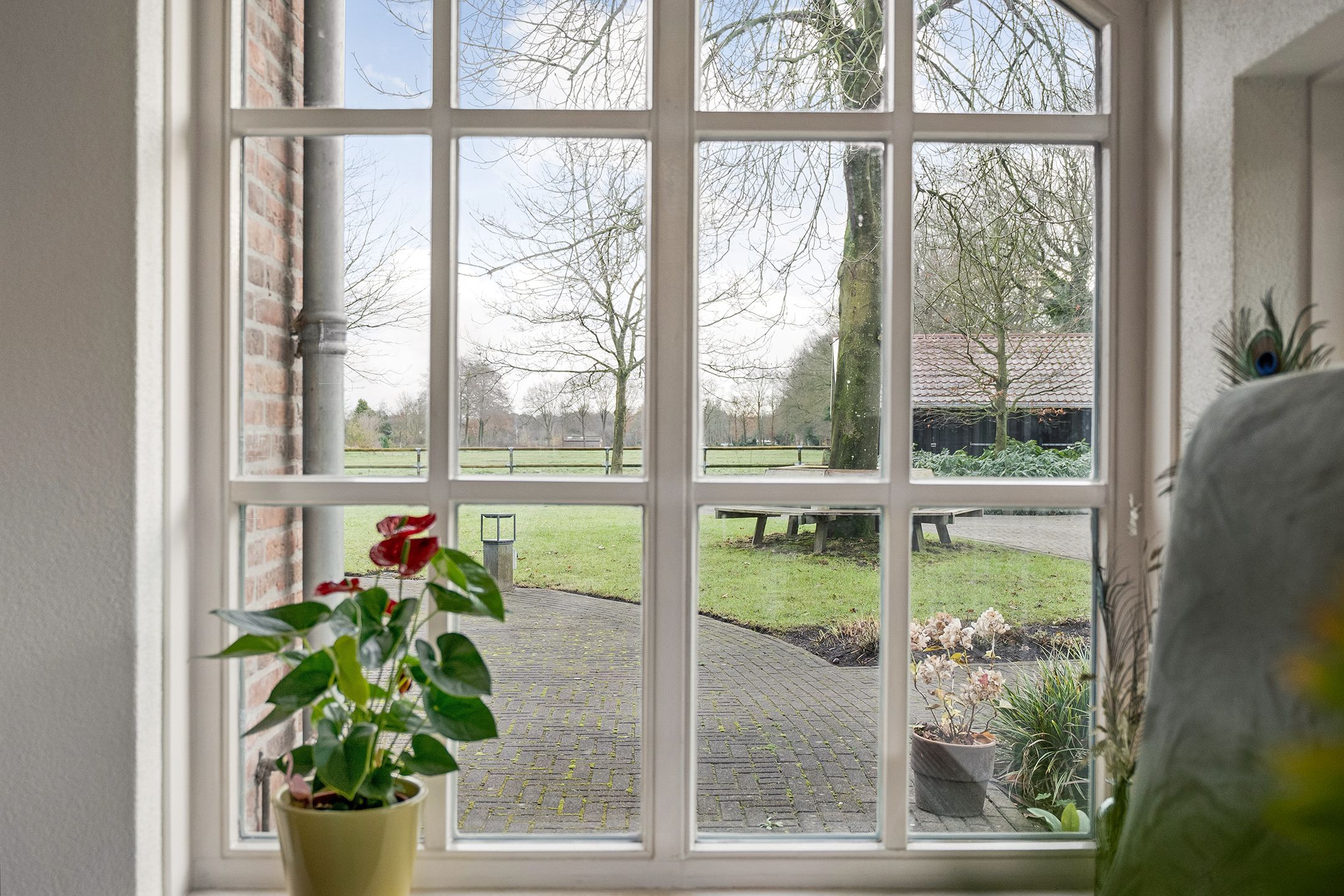 Photo 30 of Vledderweg 15