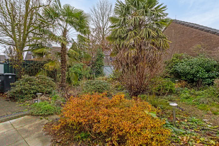 Foto 21 van Groene Kruisstraat 3