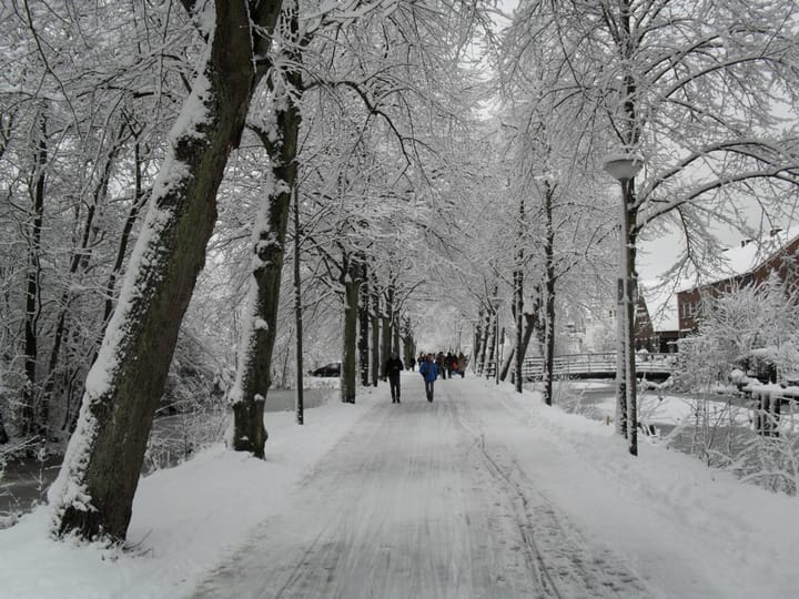 Foto 4 van Ridder van Catsweg 214