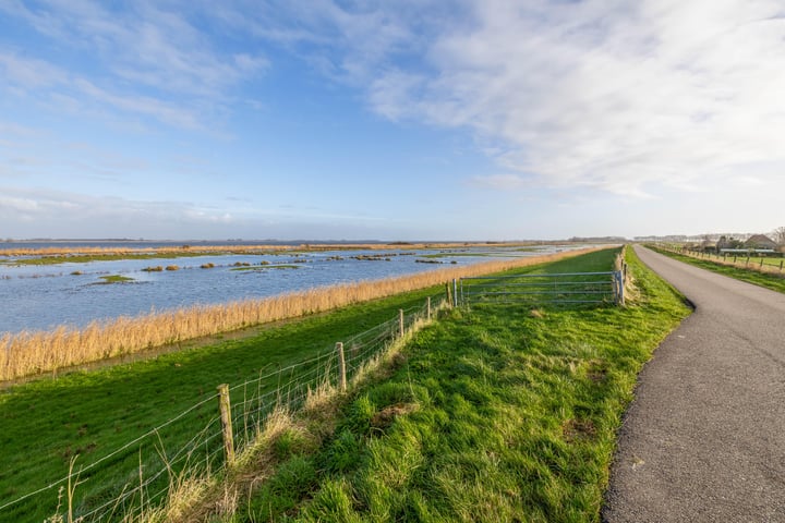 Bekijk foto 37 van Vrouwtjesweg 3