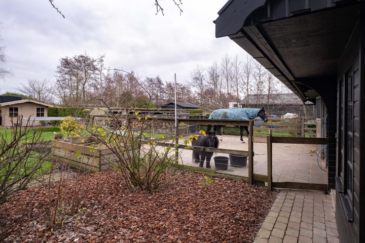 Photo 61 of Camstrawei 20