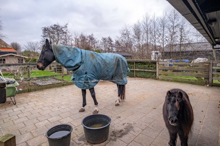 Photo 69 of Camstrawei 20