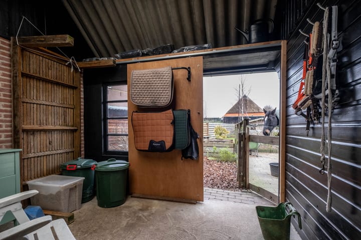 Photo 71 of Camstrawei 20