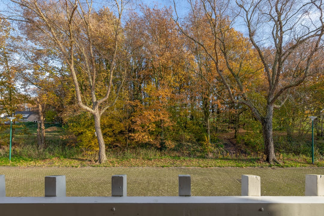 Foto 23 van Salviastraat 8