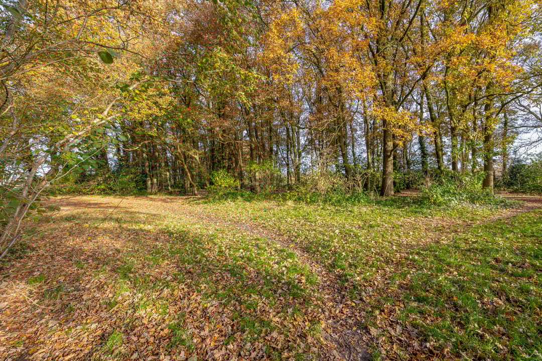 Foto 43 van Salviastraat 8