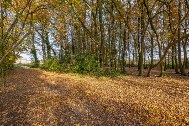 Foto 44 van Salviastraat 8