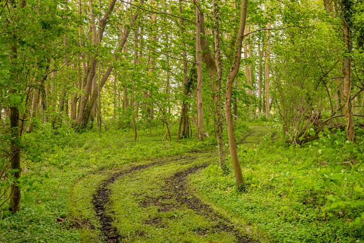 Bekijk foto 17 van Kloosterweg 23