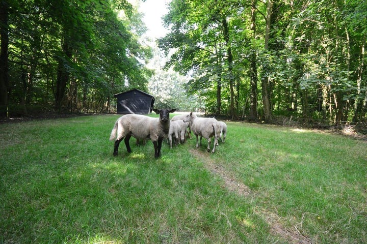 Bekijk foto 19 van Kloosterweg 23