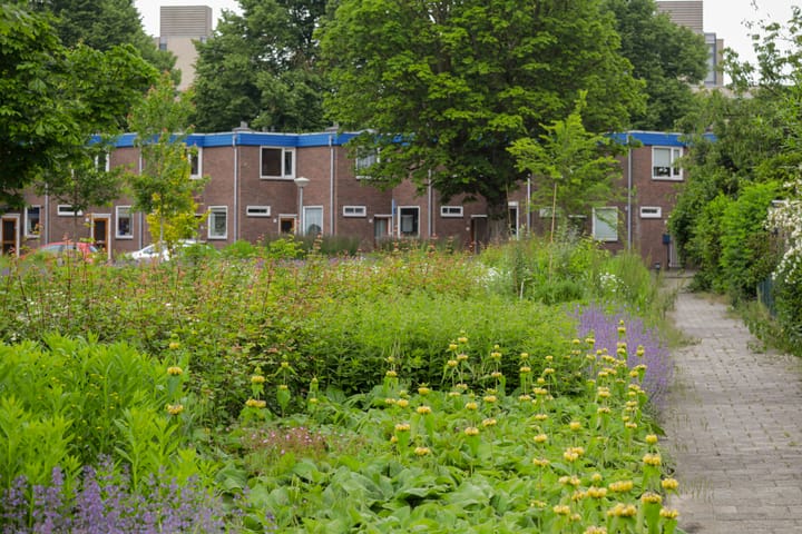 Foto 26 van Adam van Germezhof 33