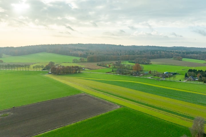 Bekijk foto 39 van Dorpskant 2