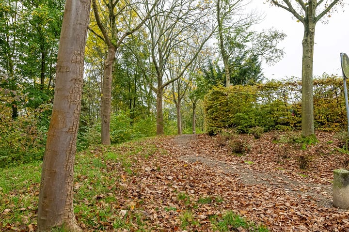 Foto 5 van Zeskant 115