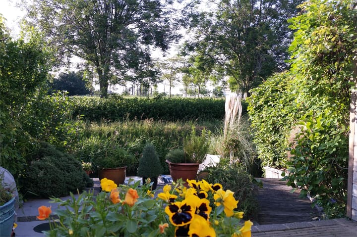 Foto 48 van Watermunt 24