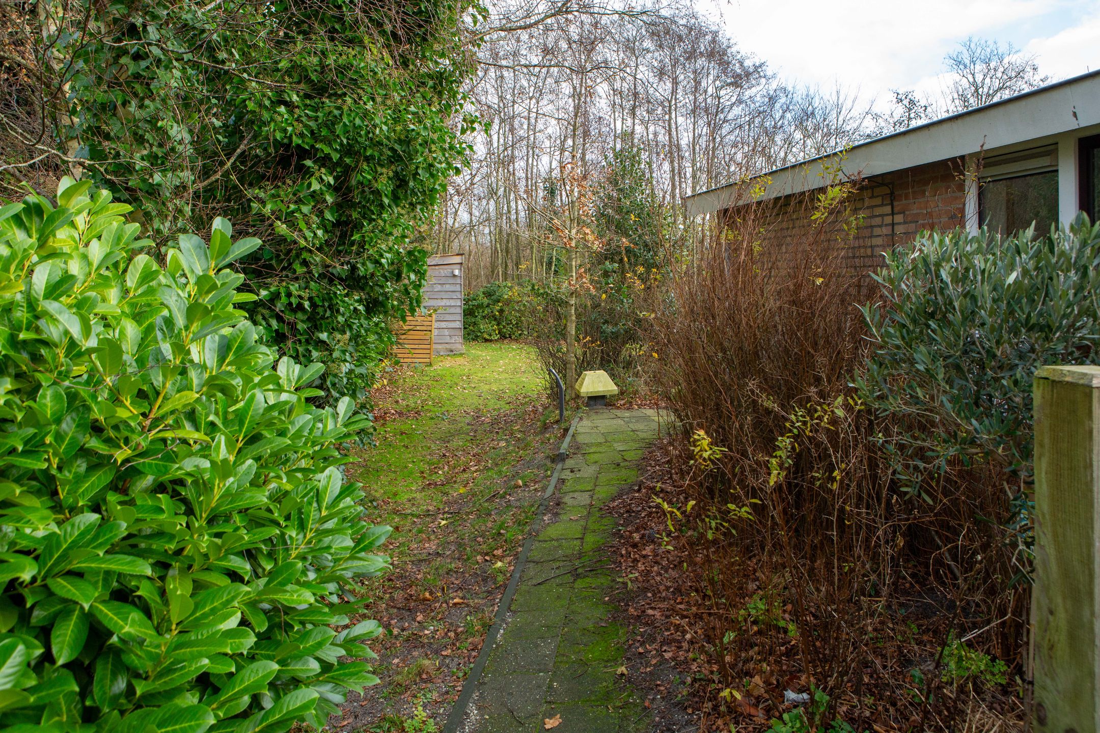 Photo 27 of Duinweg Midsland 6