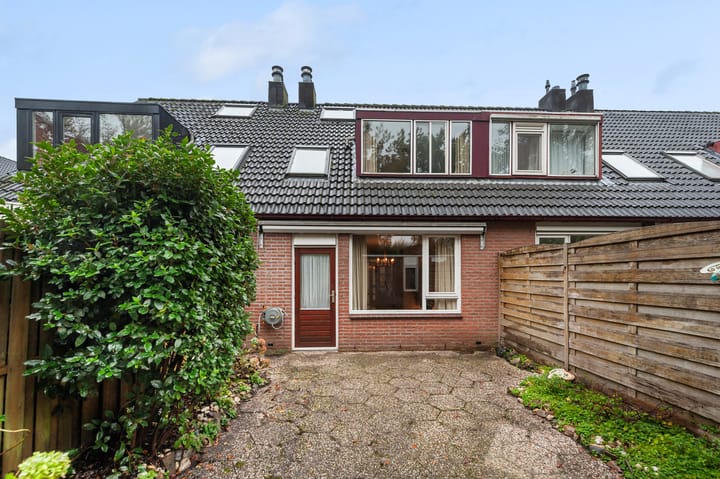 Foto 34 van Ganzerik 4