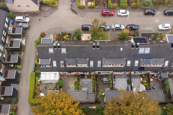 Foto 37 van Ganzerik 4